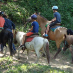 Accueil de loisirs 3CMA activité équitation
